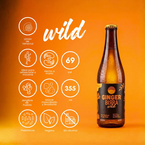 Ginger Birra Wild