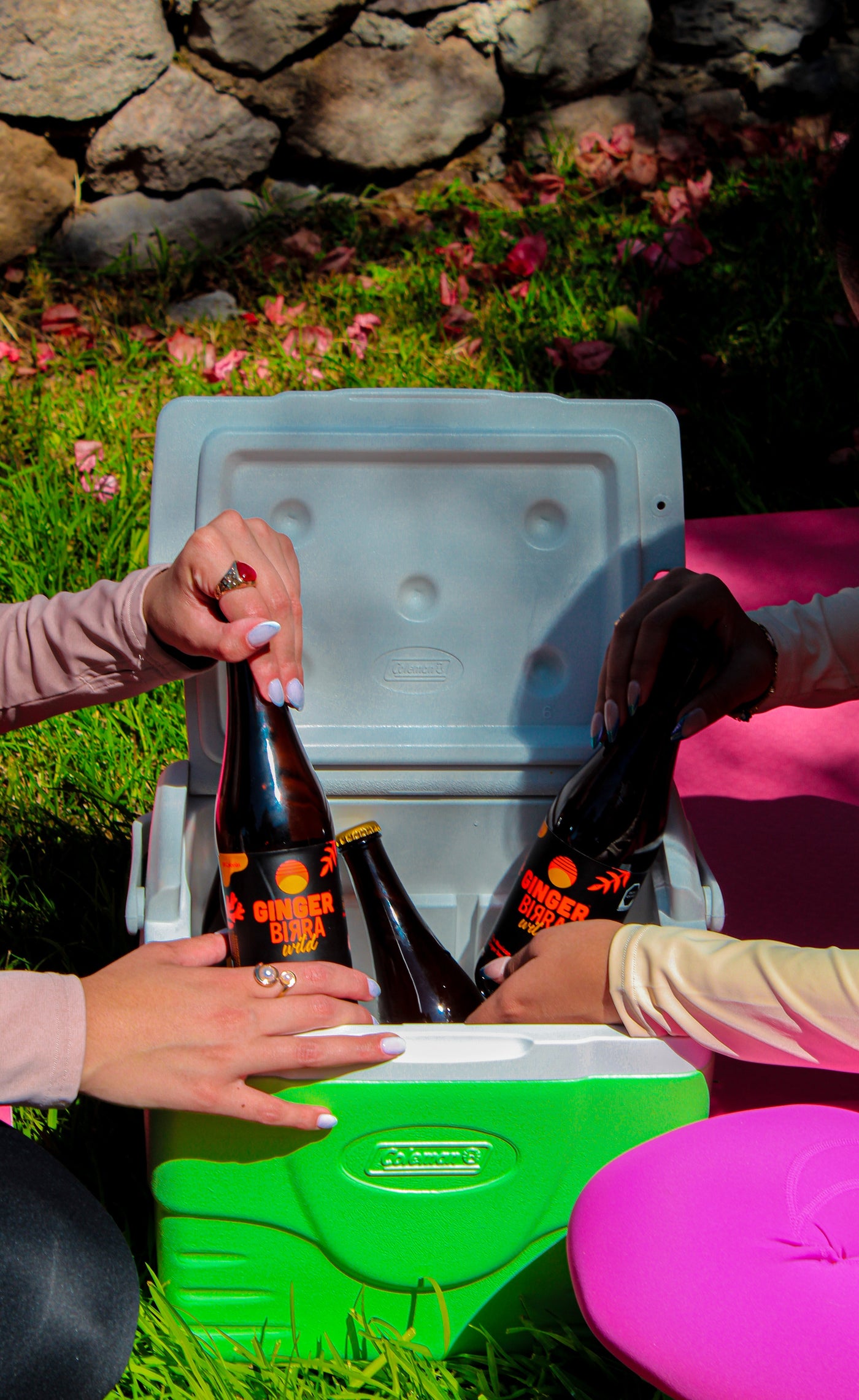 La revolución saludable de las sodas funcionales: por qué Ginger Birra es tu alternativa natural