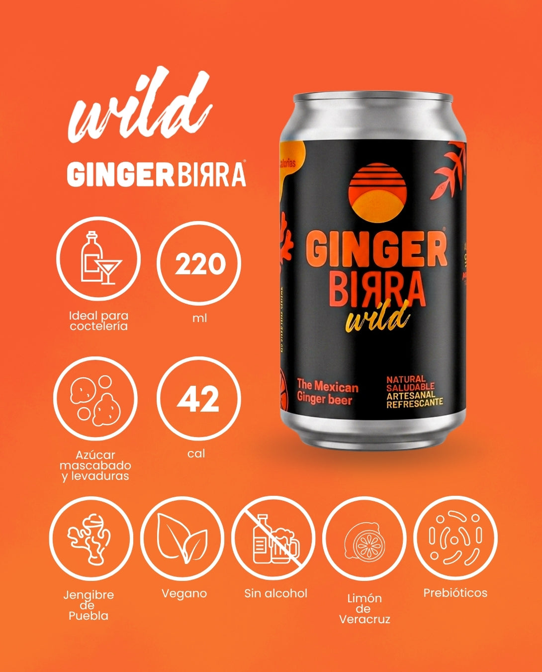 Ginger Birra | Ginger Beer Mixer Premium | Lata 220 ml (Pack de 24) | Mezclador para Coctelería, Moscow Mule y Soda Funcional | Sin Alcohol